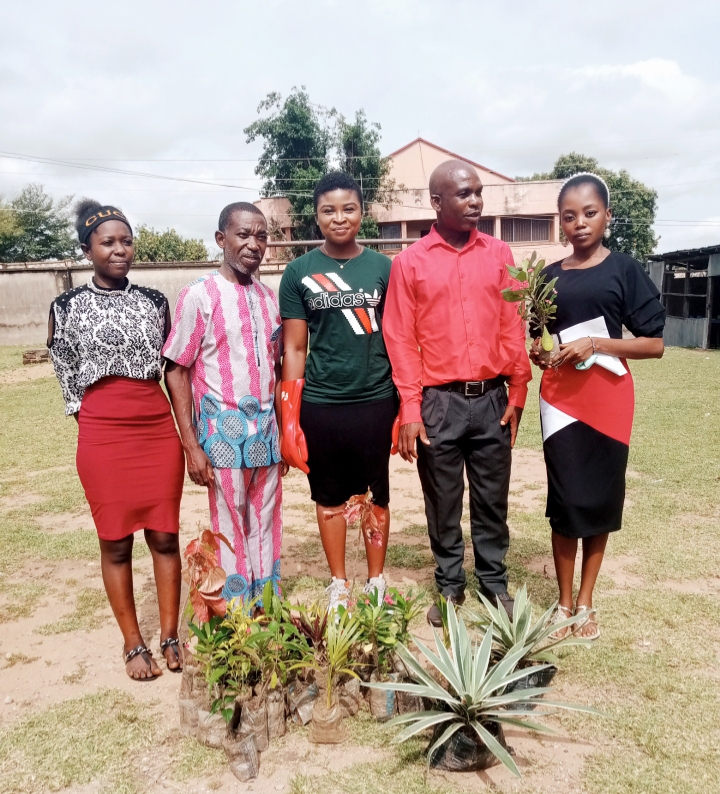 Girl Child Celebration